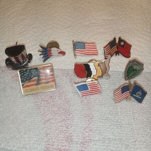 Patriotic Pin Collection